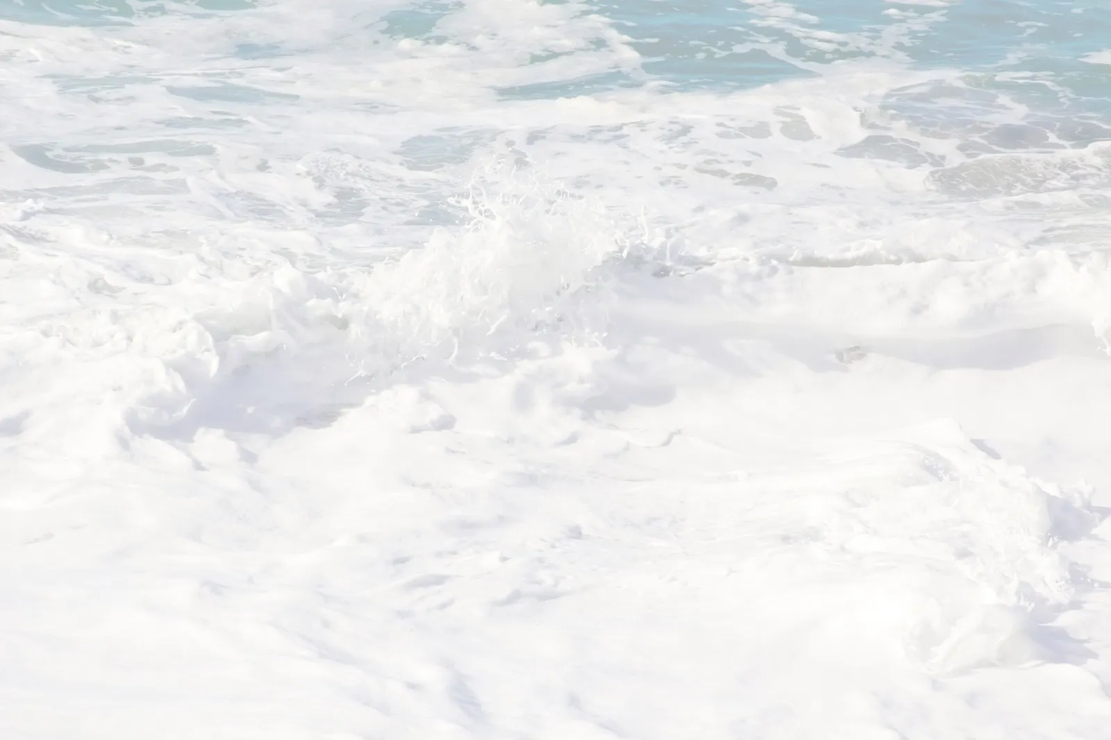 Sea foam on the shore